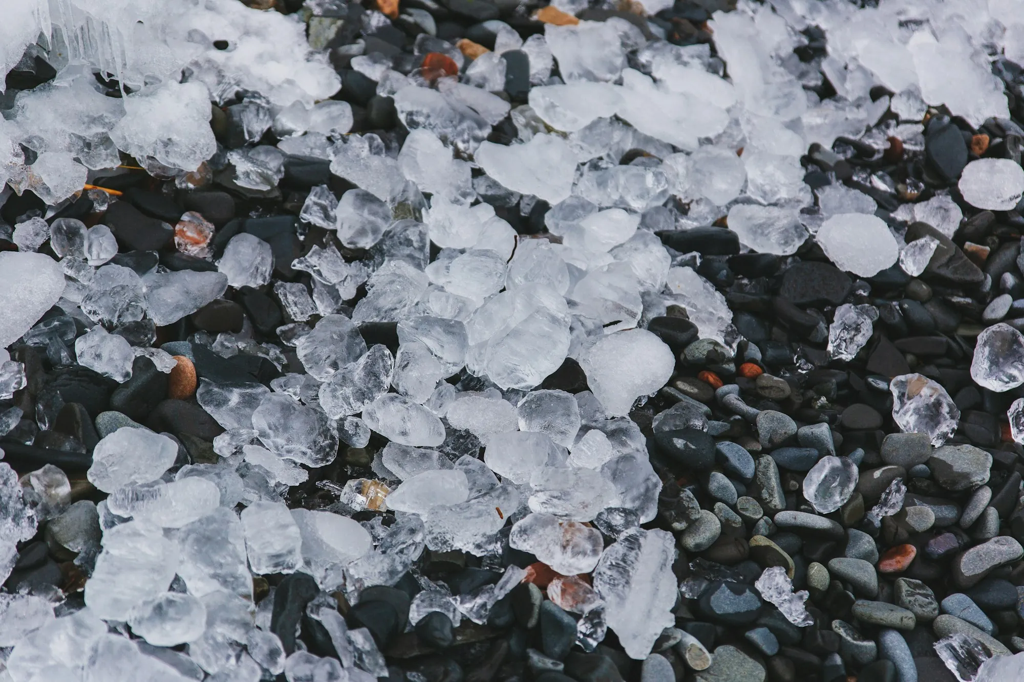 Hailstones scattered across the ground after a storm